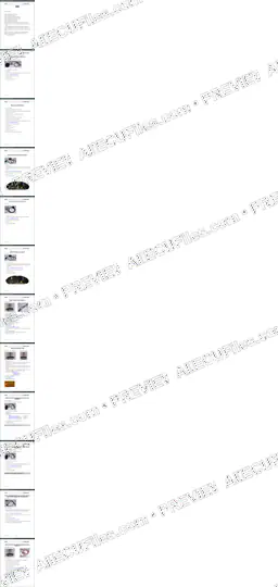 Watermarked preview of Automotive BMW Pages 001 012 Reference