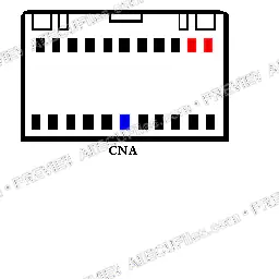 Watermarked preview of Automotive Cna Reference