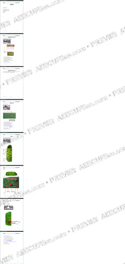 Watermarked preview of Automotive Lancia Reference