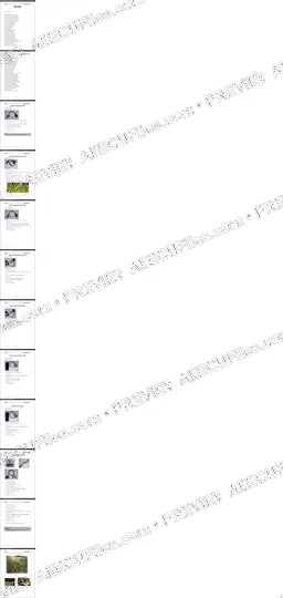 Watermarked preview of Automotive Mercedes Pages 001 012 Reference