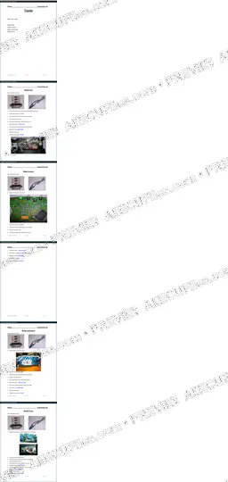 Watermarked preview of Automotive Toyota Reference