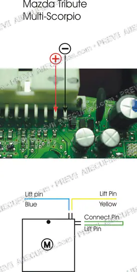 Watermarked preview of Automotive Tribute English Reference