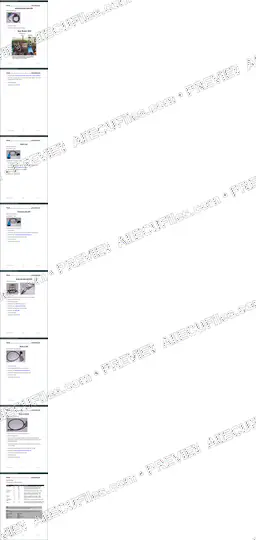 Watermarked preview of Automotive Vw Pages 025 032 Reference