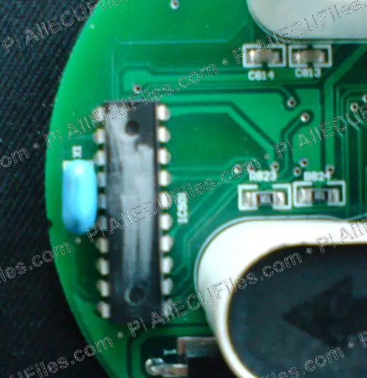 Watermarked preview of Chery Dsc00179 Reference