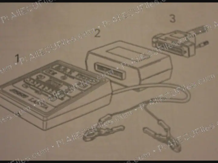 Watermarked preview of Fiat 01 Reference