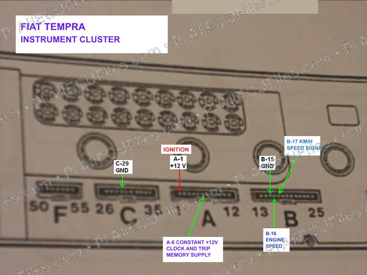 Watermarked preview of Fiat 04 Reference