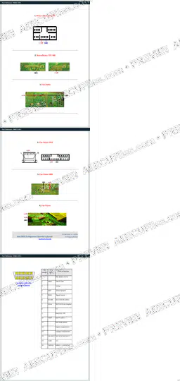 Watermarked preview of Fiat 2 Reference