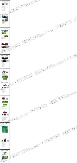 Watermarked preview of Fiat E Pages 013 024 Reference