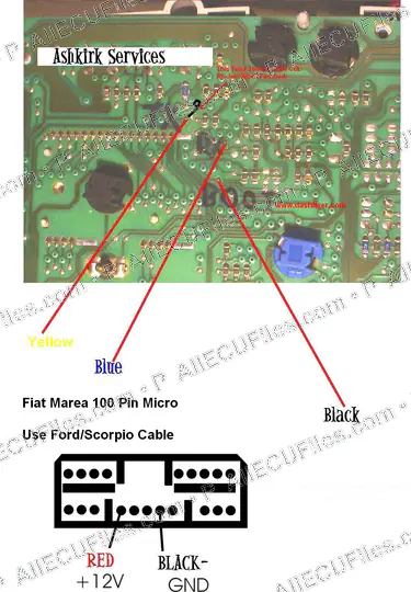 Watermarked preview of Fiat Marea 100 Pin Micro Reference