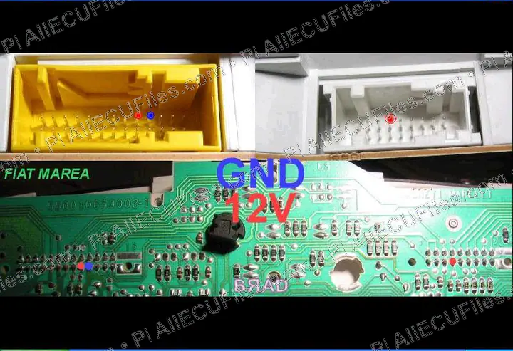 Watermarked preview of Fiat Marea Connector Reference