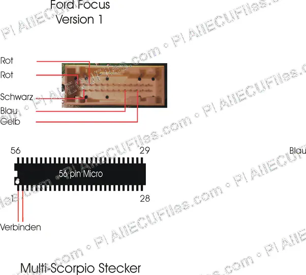 Watermarked preview of Ford Focus V1 Reference