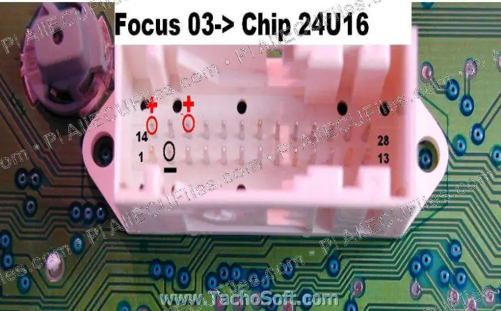 Watermarked preview of Ford Focus2003 Reference