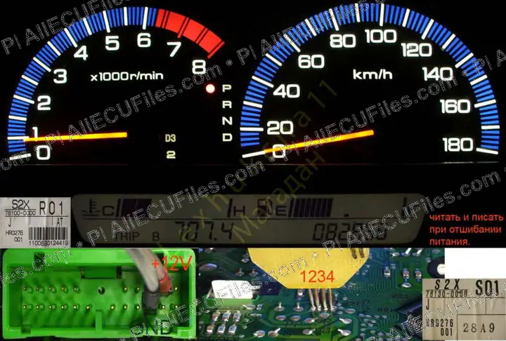 Watermarked preview of Honda Avancier 1999 Jpg Reference