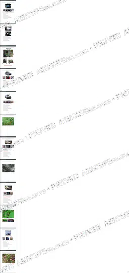 Watermarked preview of Honda Cars Honda Pages 013 024 Reference