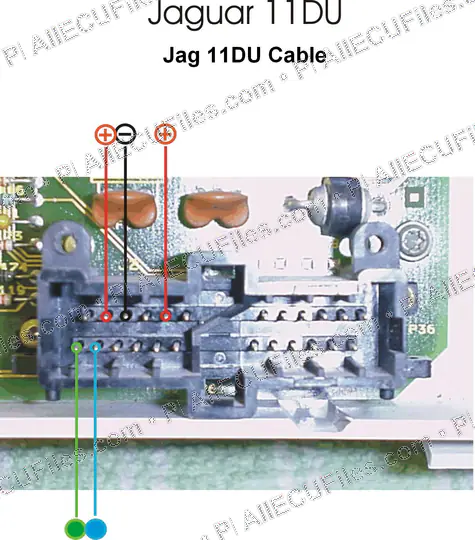 Watermarked preview of Jaguar 11du Reference