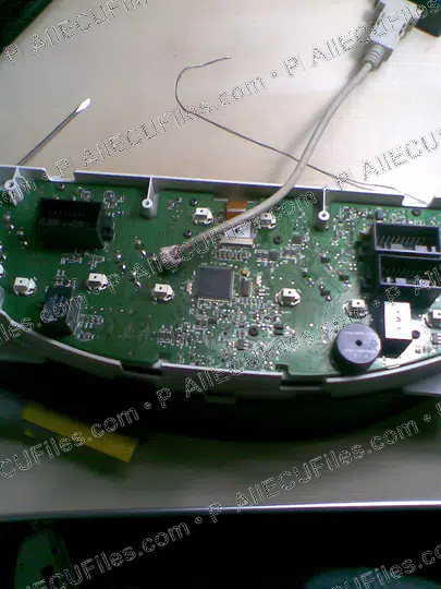 Watermarked preview of Jaguar Image 007 Reference