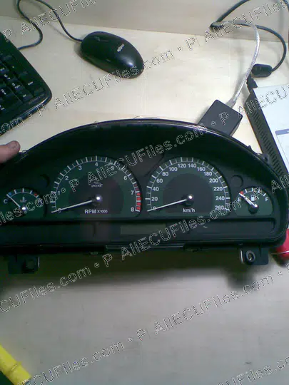Watermarked preview of Jaguar Image 009 Reference