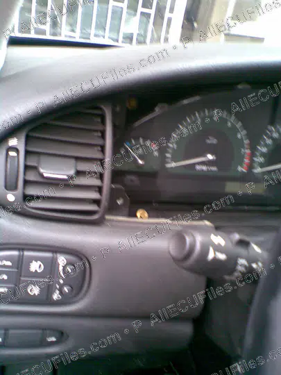 Watermarked preview of Jaguar Image 010 Reference