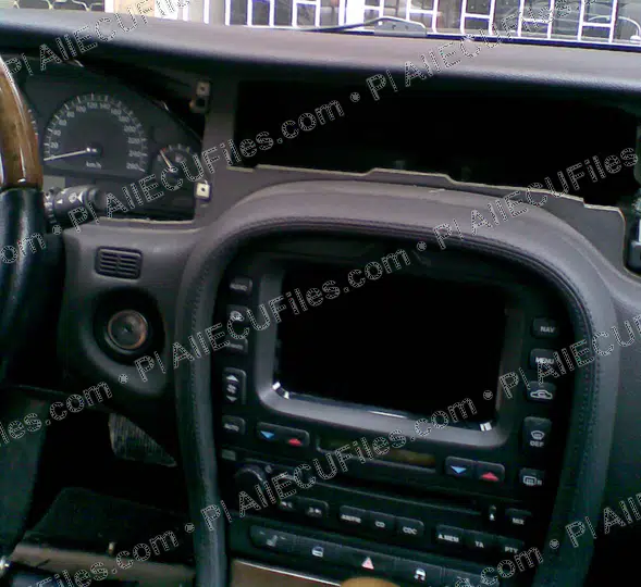 Watermarked preview of Jaguar Image 011 Reference