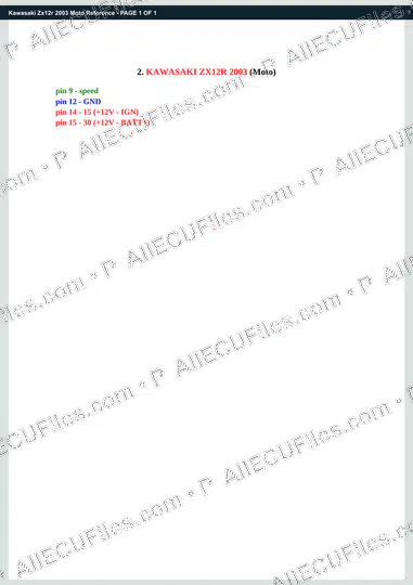 Watermarked preview of Kawasaki Zx12r 2003 Moto Reference