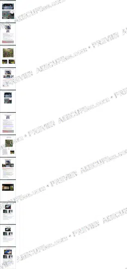 Watermarked preview of Mercedes-Benz Cars Mercedes Pages 013 024 Reference