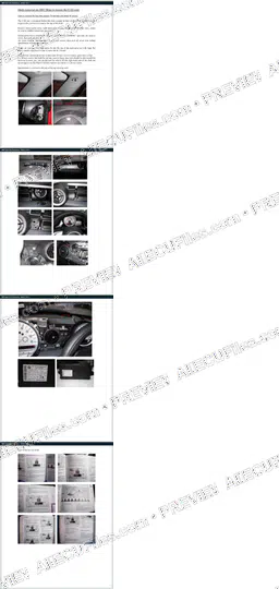 Watermarked preview of MINI Dash Pics Reference