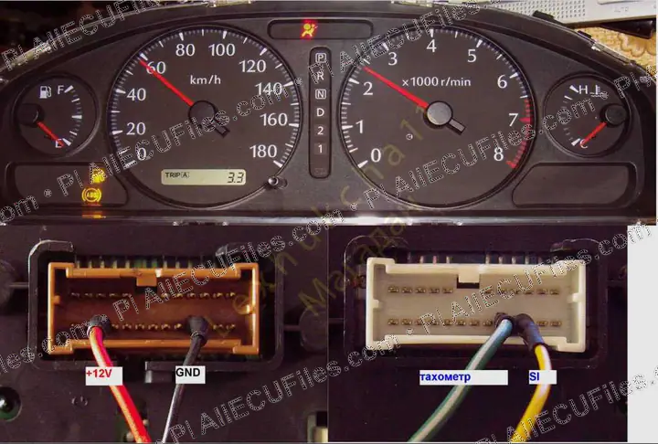 Watermarked preview of Nissan Bluberd Reference