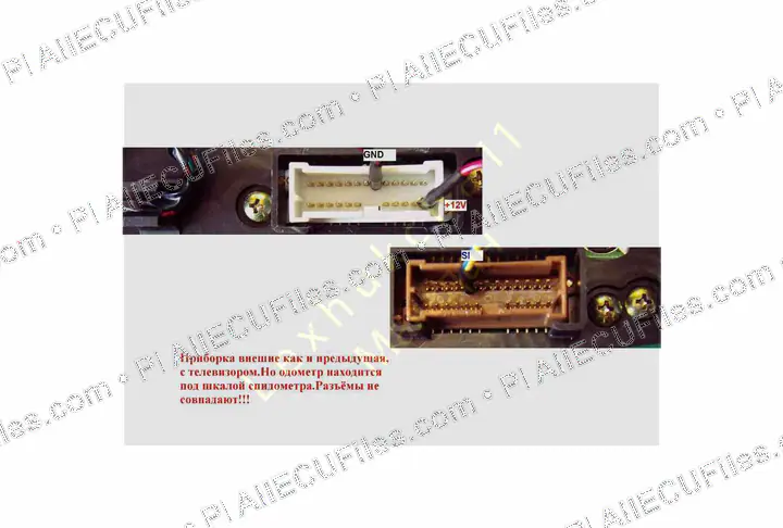 Watermarked preview of Nissan Cedric 2001 Reference
