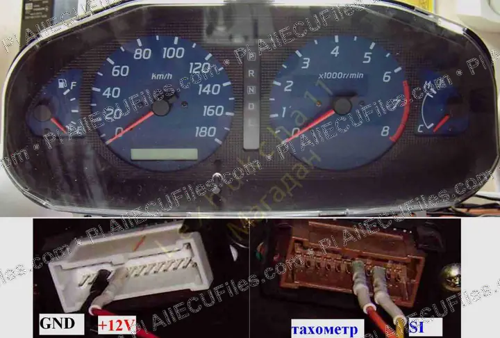 Watermarked preview of Nissan Cube Reference