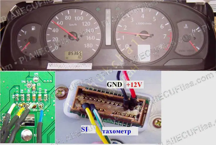 Watermarked preview of Nissan Elgrand Reference