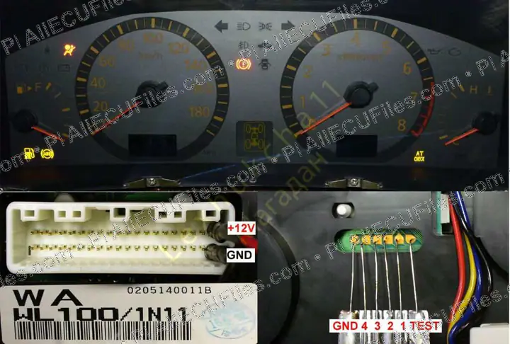 Watermarked preview of Nissan Elgrand 2002 Reference