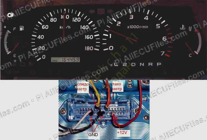 Watermarked preview of Nissan Prado Reference
