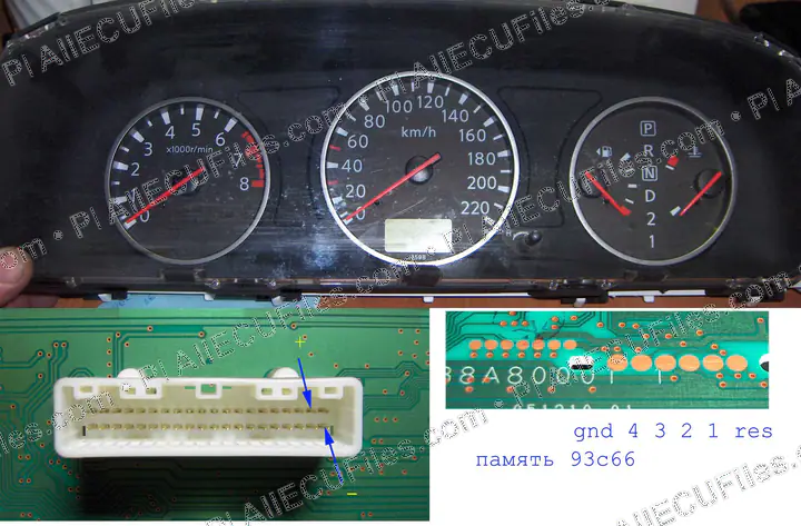 Watermarked preview of Nissan X Trail 2005 Europa Copy Reference