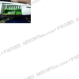 Watermarked preview of Subaru 2000 Liberty Pup Reference