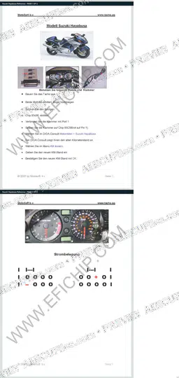 Watermarked preview of Suzuki Hayabusa Reference