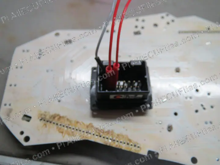 Watermarked preview of Triumph Pic Processor Img 2638 Reference