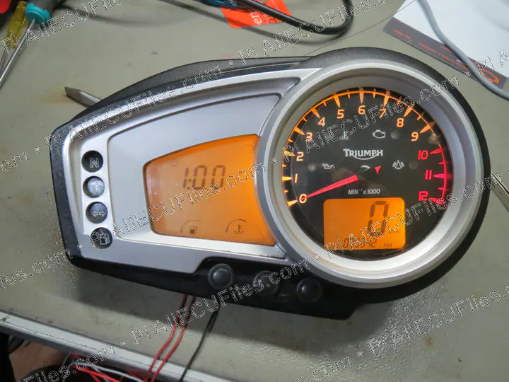 Watermarked preview of Triumph Pic Processor Img 2640 Reference