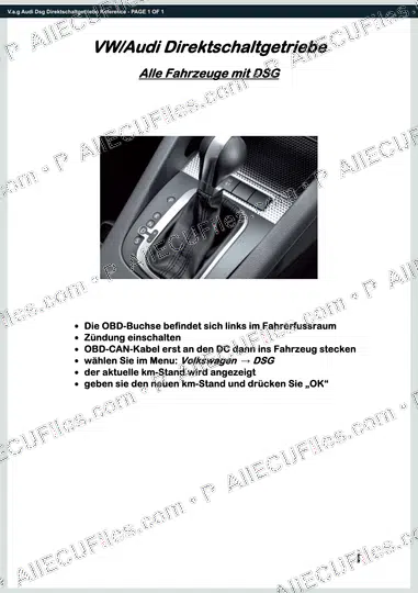 Watermarked preview of V.a.g Audi Dsg Direktschaltgetriebe Reference