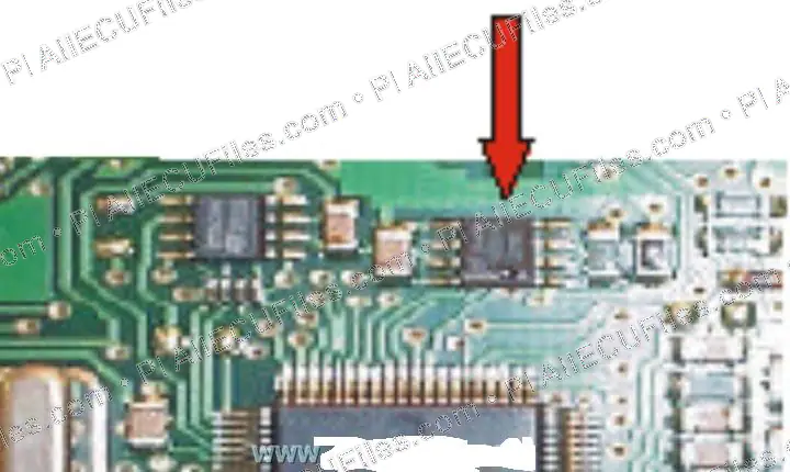 Watermarked preview of Volkswagen Golf31992 1994 Reference